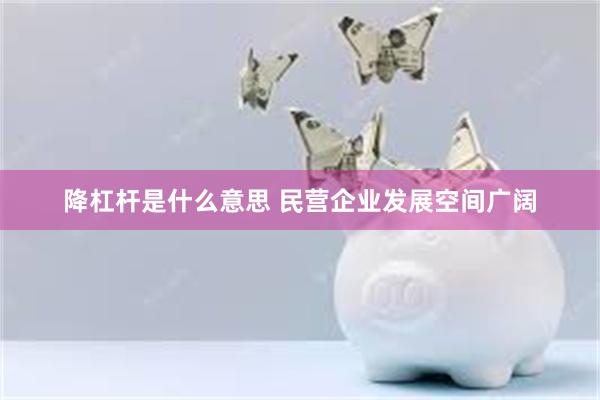 降杠杆是什么意思 民营企业发展空间广阔