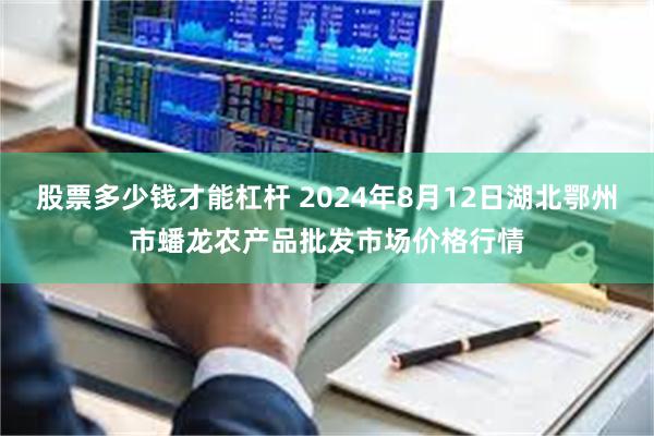 股票多少钱才能杠杆 2024年8月12日湖北鄂州市蟠龙农产品批发市场价格行情