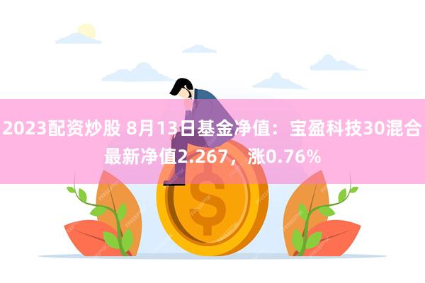 2023配资炒股 8月13日基金净值：宝盈科技30混合最新净值2.267，涨0.76%