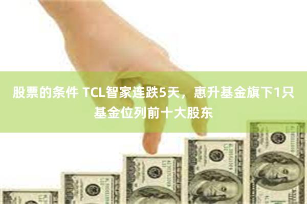 股票的条件 TCL智家连跌5天，惠升基金旗下1只基金位列前十大股东