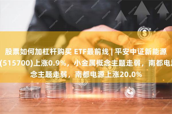 股票如何加杠杆购买 ETF最前线 | 平安中证新能源汽车产业ETF(515700)上涨0.9%，小金属概念主题走弱，南都电源上涨20.0%