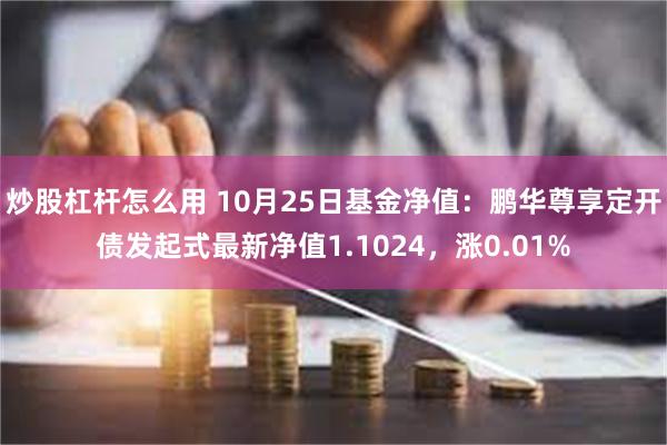 炒股杠杆怎么用 10月25日基金净值：鹏华尊享定开债发起式最新净值1.1024，涨0.01%