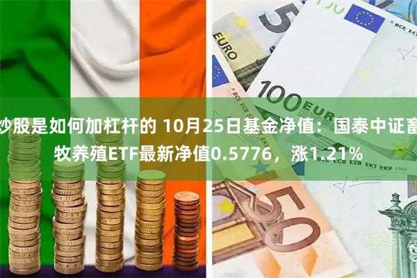 炒股是如何加杠杆的 10月25日基金净值：国泰中证畜牧养殖ETF最新净值0.5776，涨1.21%